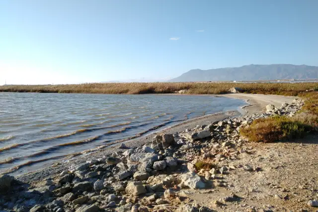 Punta Entinas-Sabinar